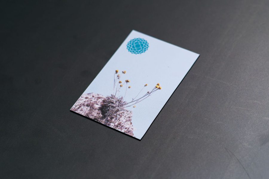Magnet dubrovačka zečina