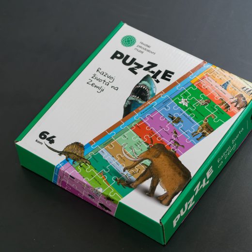 Puzzle "Razvoj života"