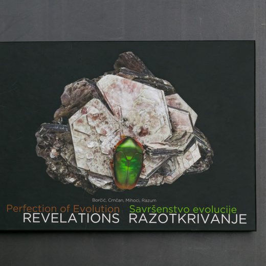 Savršenstvo evolucije - razotkrivanje