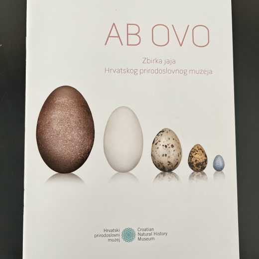 Ab ovo: Zbirka jaja Hrvatskog prirodoslovnog muzeja