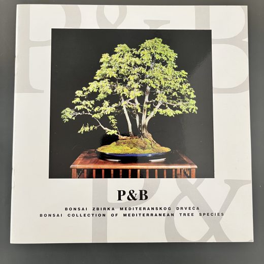 Bonsai zbirka mediteranskog drveća