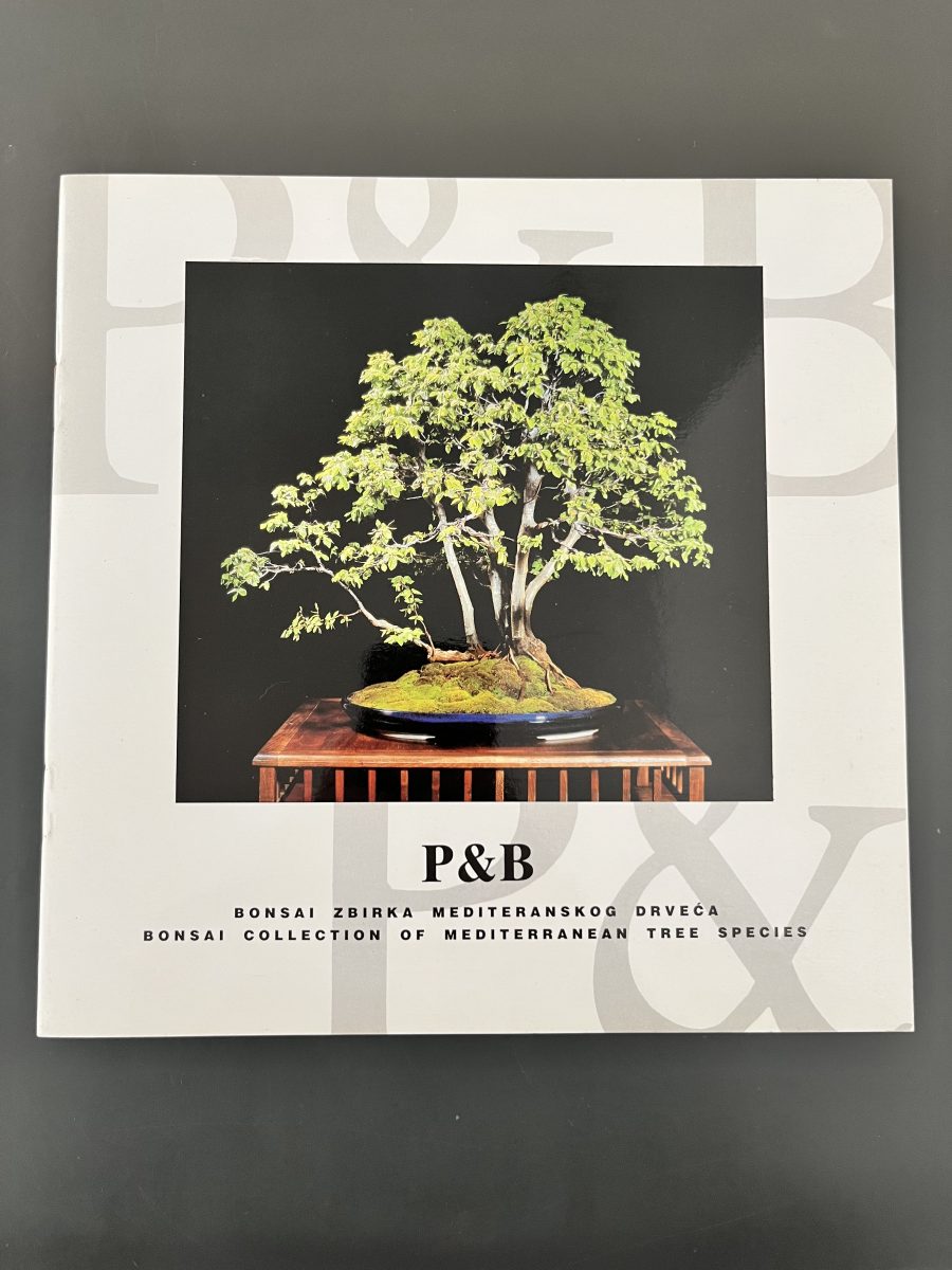 Bonsai zbirka mediteranskog drveća