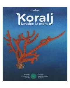 Koralj izvađen iz mora