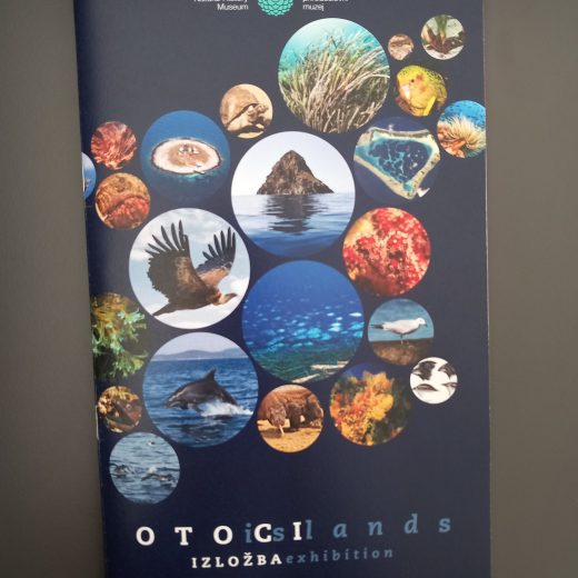 Otoci