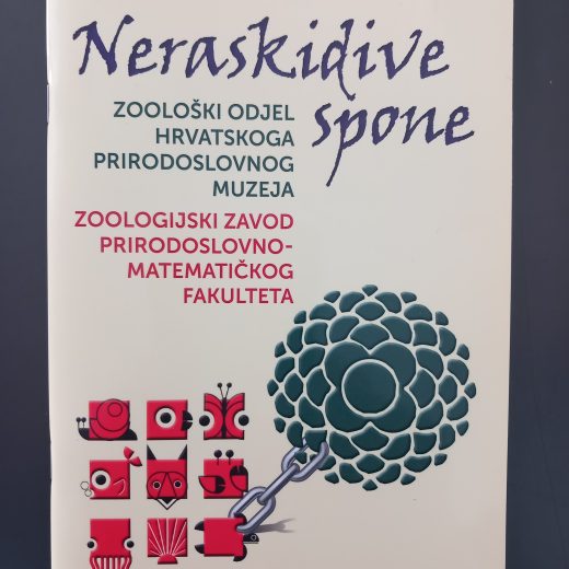 Neraskidive spone
