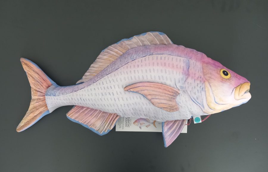 Jastuci 65 cm