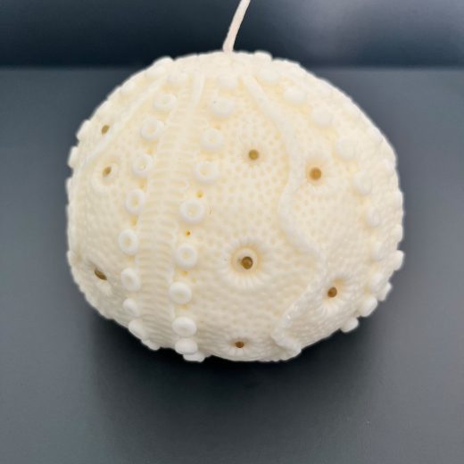 Svijeća 500 g, Morski ježinac