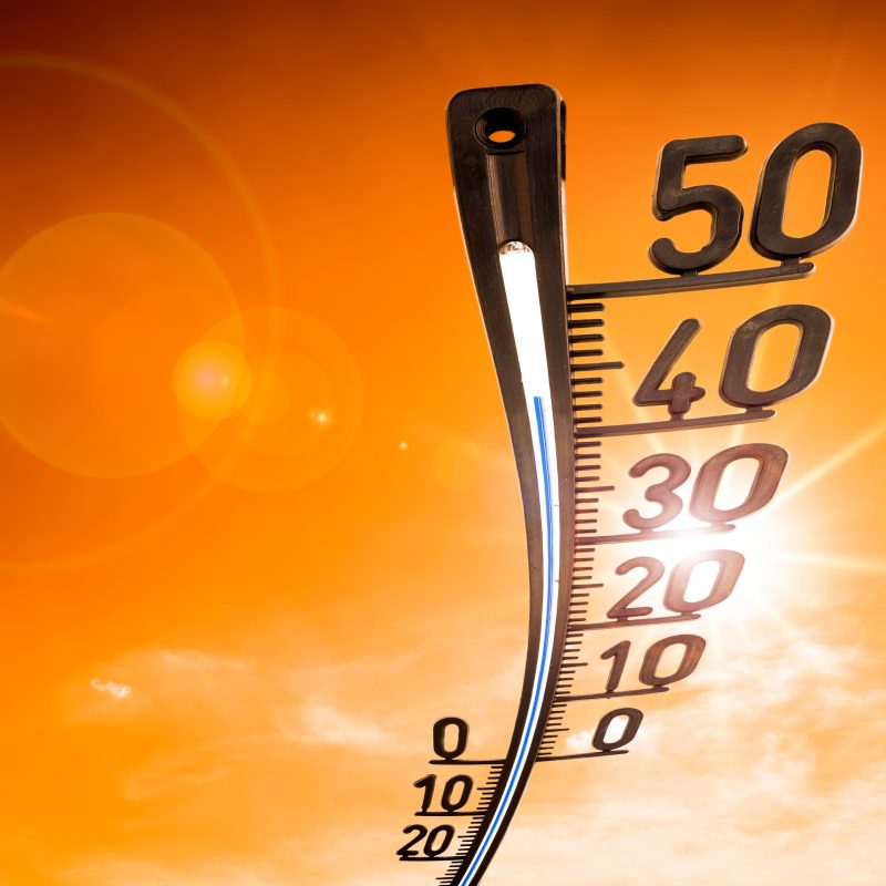 Cool off at the museum with free admission during the heatwave
