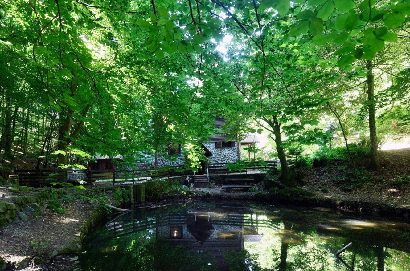 Miroslavec – Kraljičin zdenac – Medvedgrad
